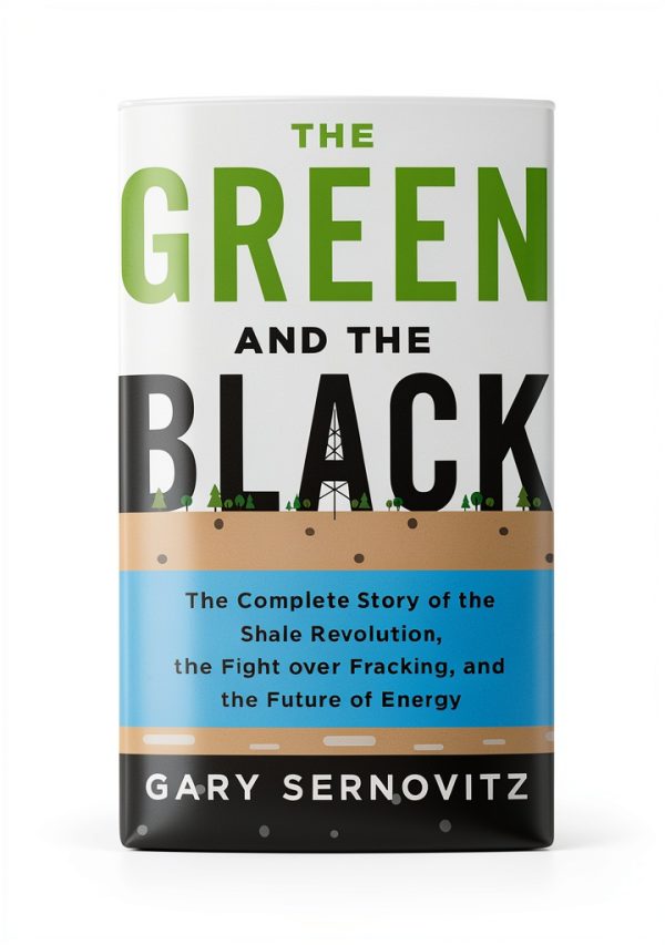 Natural Gas Energy Kindle eBook by St. Martin's Press – 289 pages-0